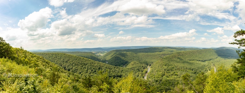 Penns Creek from Penns View