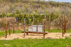 Bee hives in polinator meadow
