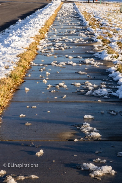 Snowplow Litter
