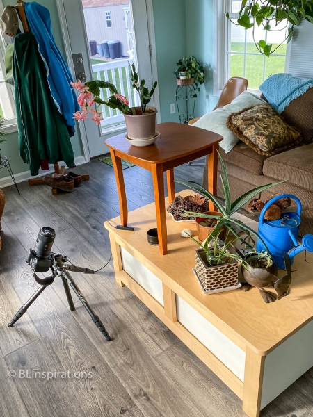 Camera Setup