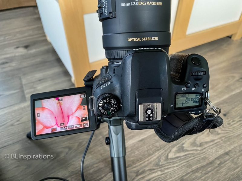 Focus Setup