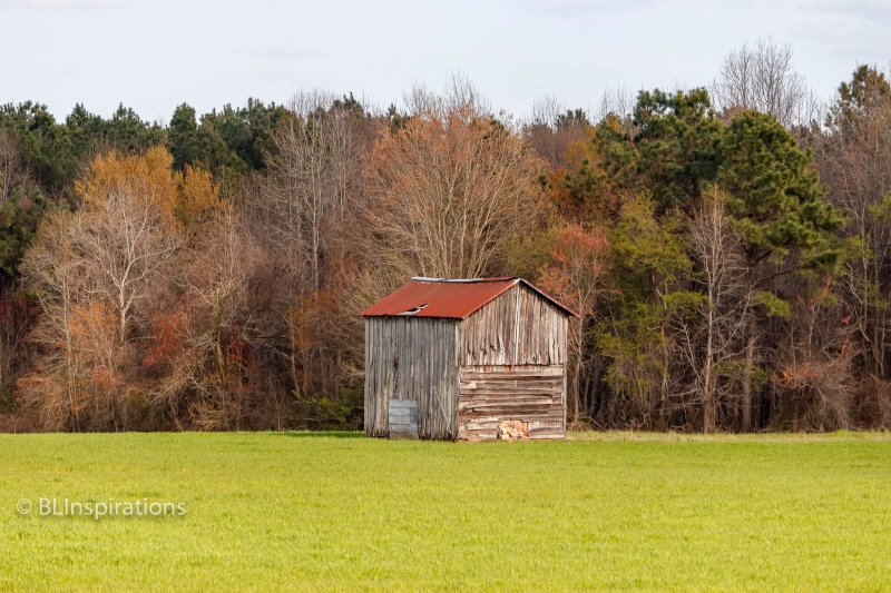 Johnston County, NC Tobacco Barn 1