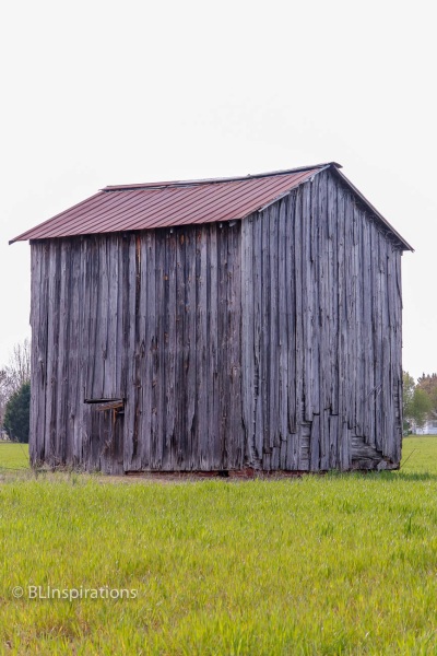 Johnston County, NC Tobacco Barn 3