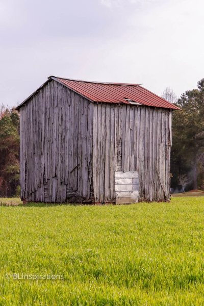 Johnston County, NC Tobacco Barn 4