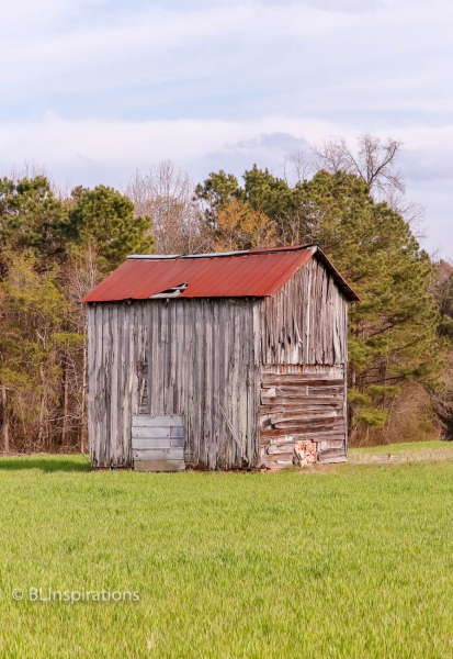 Johnston County, NC Tobacco Barn 5