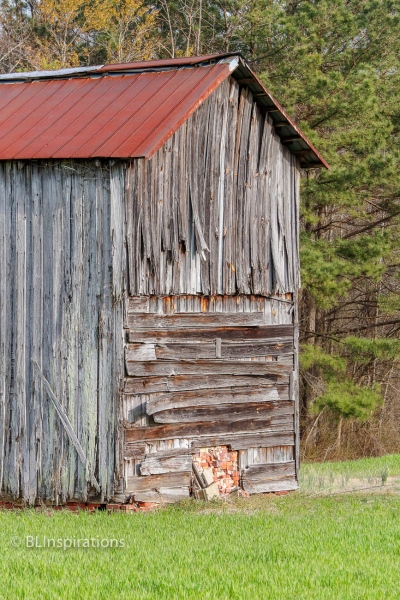 Johnston County, NC Tobacco Barn 6