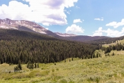 Colorado Trail Scene 1