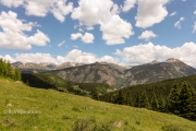 Colorado Trail Scene 3