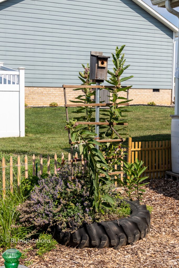 bird house, tractor tire planter, and trellis with milkweed.